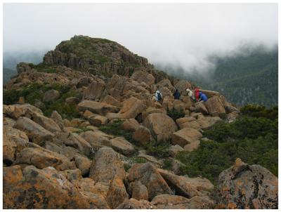 Taking shelter at the top (1)