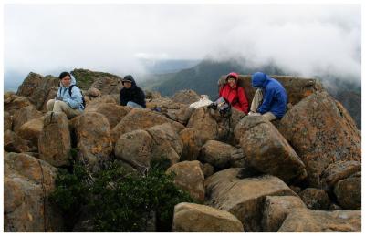 Taking shelter at the top (2)