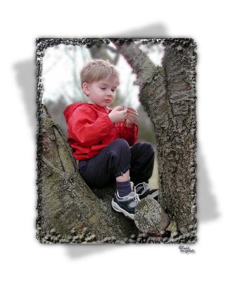 u25/todd_smigelski/medium/14726789.ConnorTree1sttime2DOFcopy.jpg