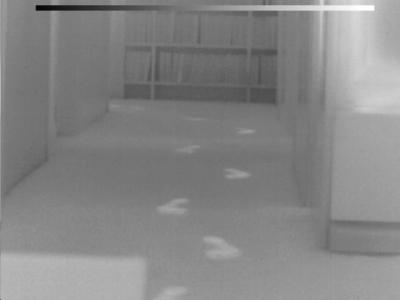 Footprints.jpg