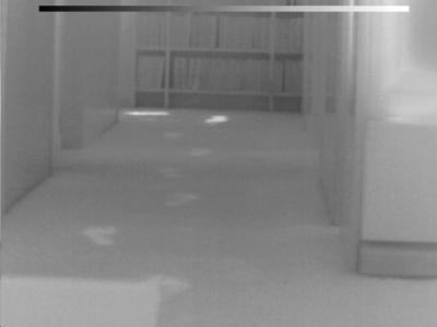Footprints2.jpg