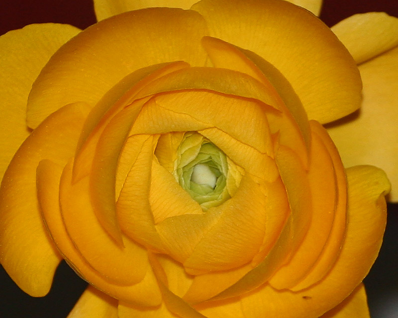 FL_3_10.jpg