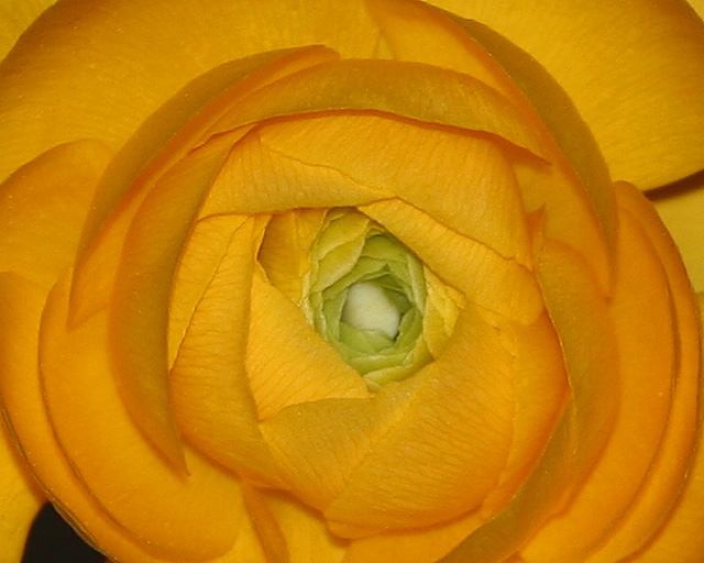 FL_3_11.jpg