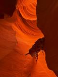 Canyon X Log Jam