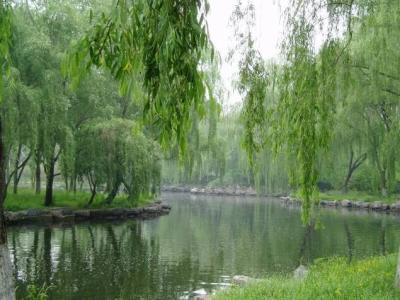 The garden is full of islands and rivers.