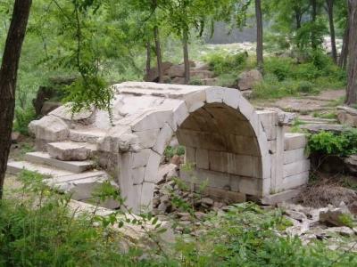 Bridge in Lion Forest.