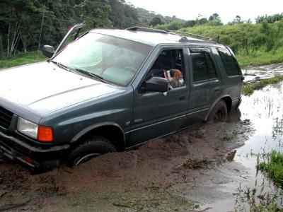 Puppy--Baby-Stuck-in-Mud.jpg