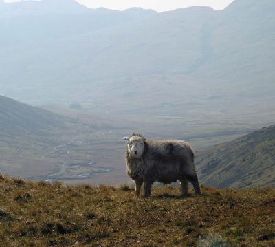 Top of Wrynose Pass