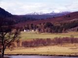 Distant view of Cairn Toul from outskirts of Braemar