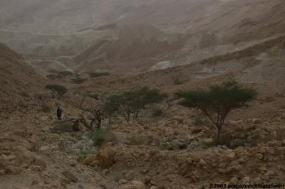 Negev Desert Valley