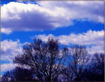 u25/uofmtiger/medium/40730027.bluesky.jpg
