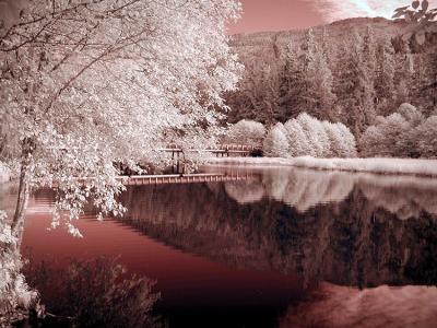 IR Reflection-3