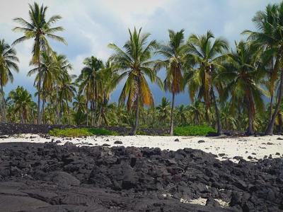 Puna Shoreline