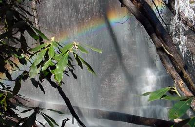 Waterfall Rainbows