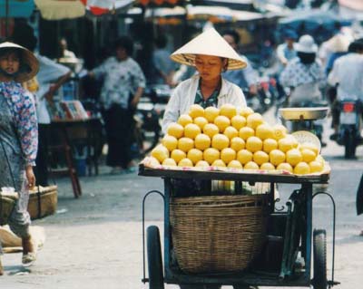 Vietnamese Grapefruit Vendor