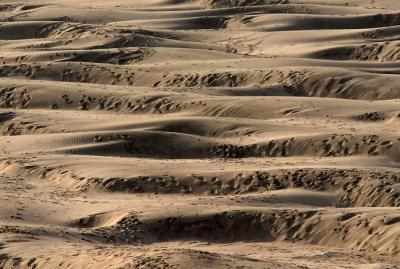 Not dunes -- just sand ripples on an Oregon Pacific beach