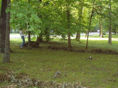 Raking in the middle of May - what the heck?