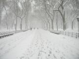 Except instead of musical instruments getting louder, the snow is dampening all the city noises
