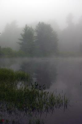 trip-lake-fog.jpg