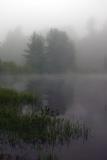 trip-lake-fog.jpg