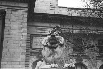 New York Public Library