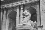 New York Public Library