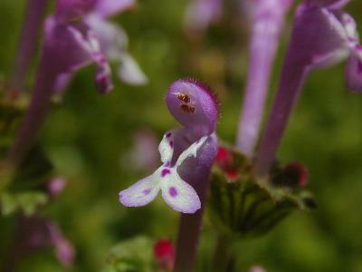 Dscn4440.jpg
