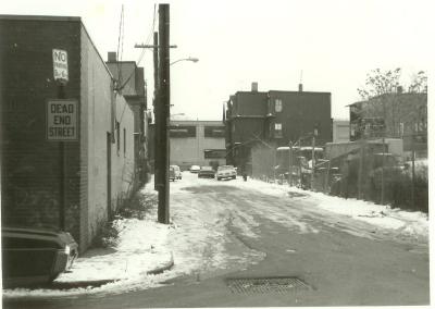 u25/yulepics/medium/14622269.BlaineSt.jpg