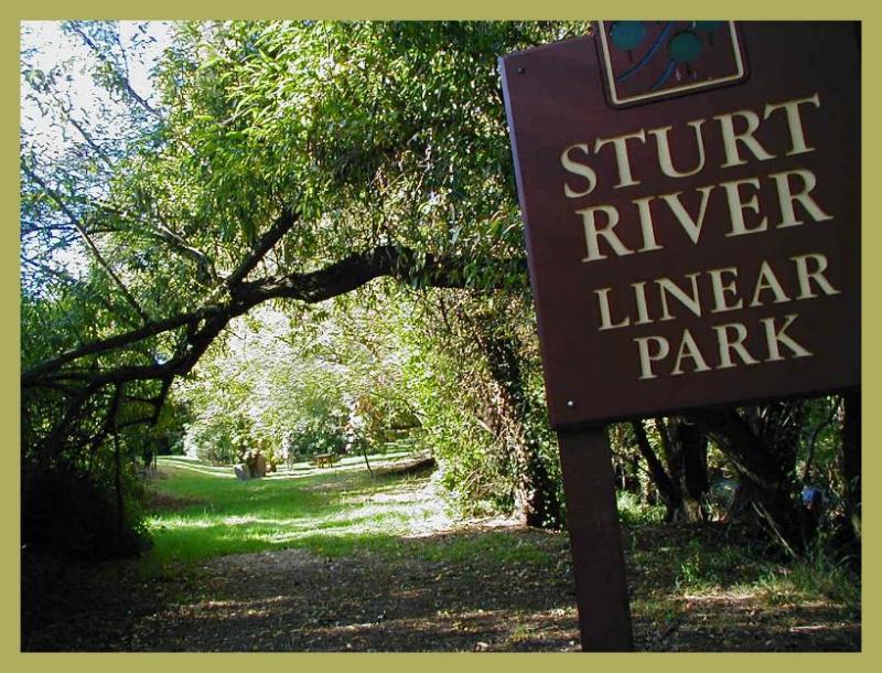Sturt Linear Park.