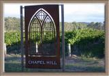 Chapel Hill sign  vines