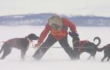 Switching lead dogs