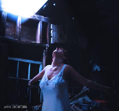 The Light
