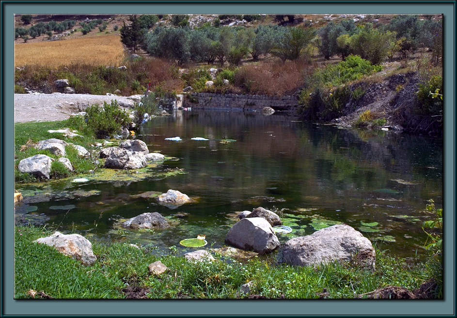 A still water pond