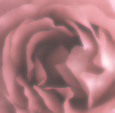 A Rose  Arose
