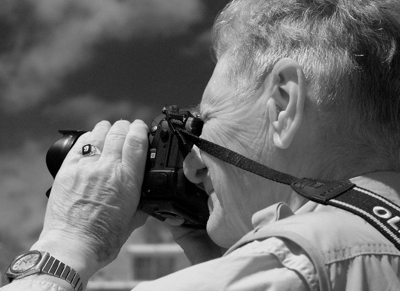 bill gordon