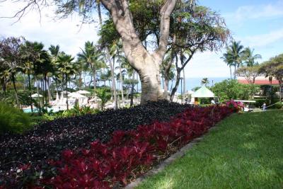 Renaissance Wailea grounds