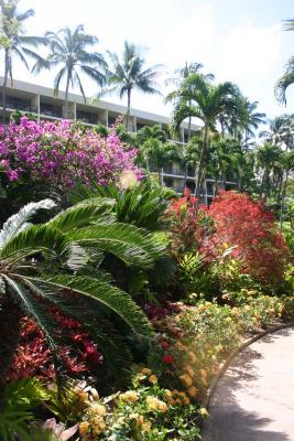 Renaissance Wailea grounds