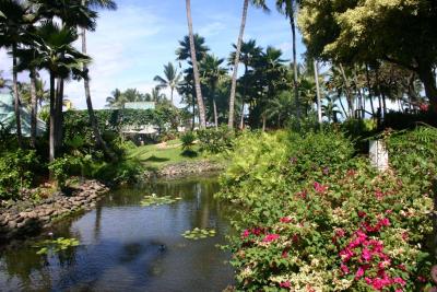 Renaissance Wailea grounds