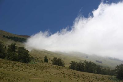 Cloud on the slopes of Haleakala