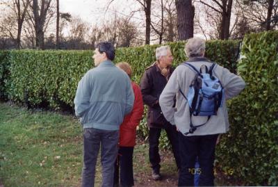 can you recognise this tree cathedral?