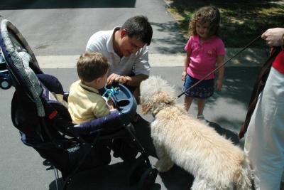Making new friends