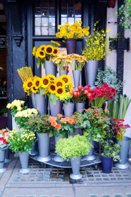 Beautiful flowers