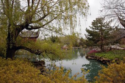 Jardin de Chine