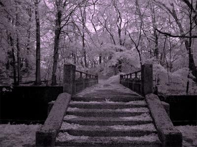 e--Enter-BW-093-IR-Filter-.jpg