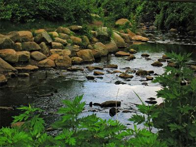 e--2By2--the-Brook-S70-ps-c.jpg