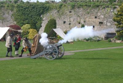 Royalist Artillery.jpg