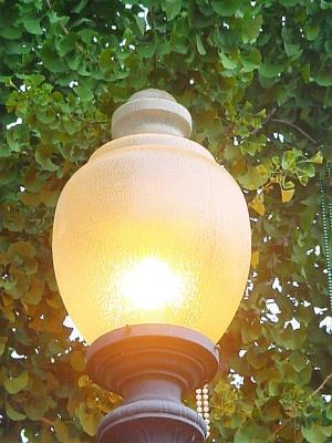 Lampost.jpg