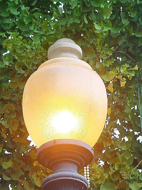 Lampost.jpg