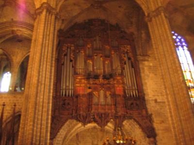 the organ...