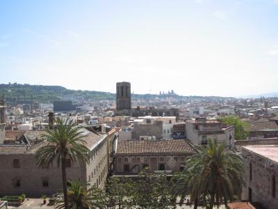 on top of cathedral